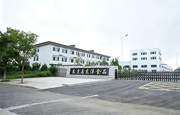 Avec un investissement de 250 millions de RMB et une usine de 40 000㎡, Dongyang Foods a bâti une base solide pour une production de nouilles instantanées de haute qualité.