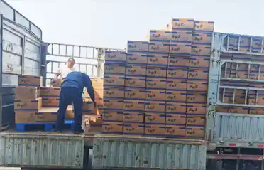 Combien de points de contrôle une crêpe aux nouilles Mala Tang (pot chaud épicé) doit-elle passer avant d'être chargée sur un camion à Shenyang ?