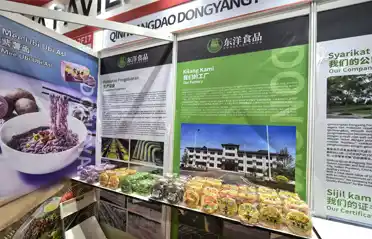 Vous cherchez à vous procurer des nouilles non frites en Malaisie ? Qinhuangdao Dongyang présente ses produits alimentaires à l'exposition internationale Halal